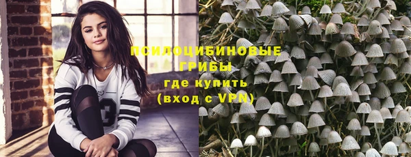 ПСИЛОЦИБИНОВЫЕ ГРИБЫ Абинск